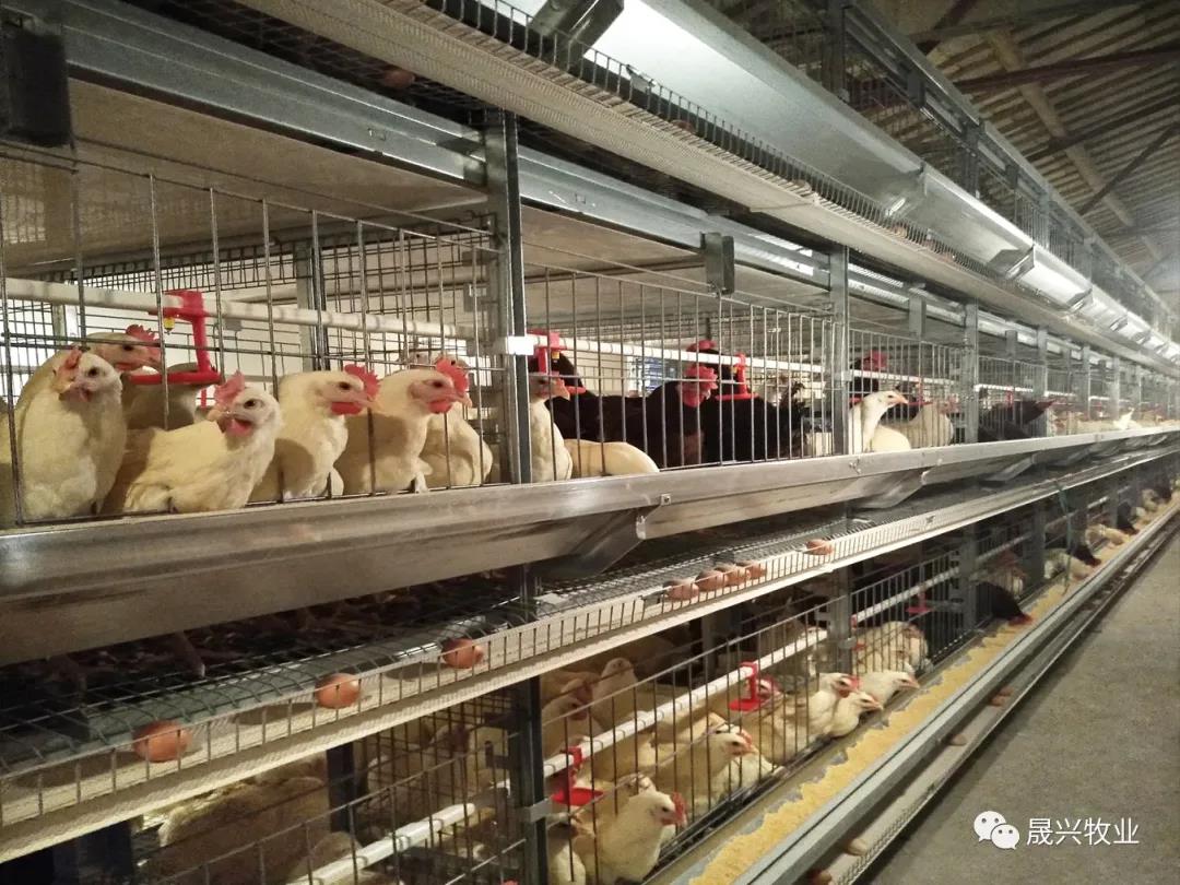 �Ӳ�������(�й���)�ٷ���վ