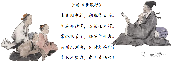 �Ӳ�������(�й���)�ٷ���վ