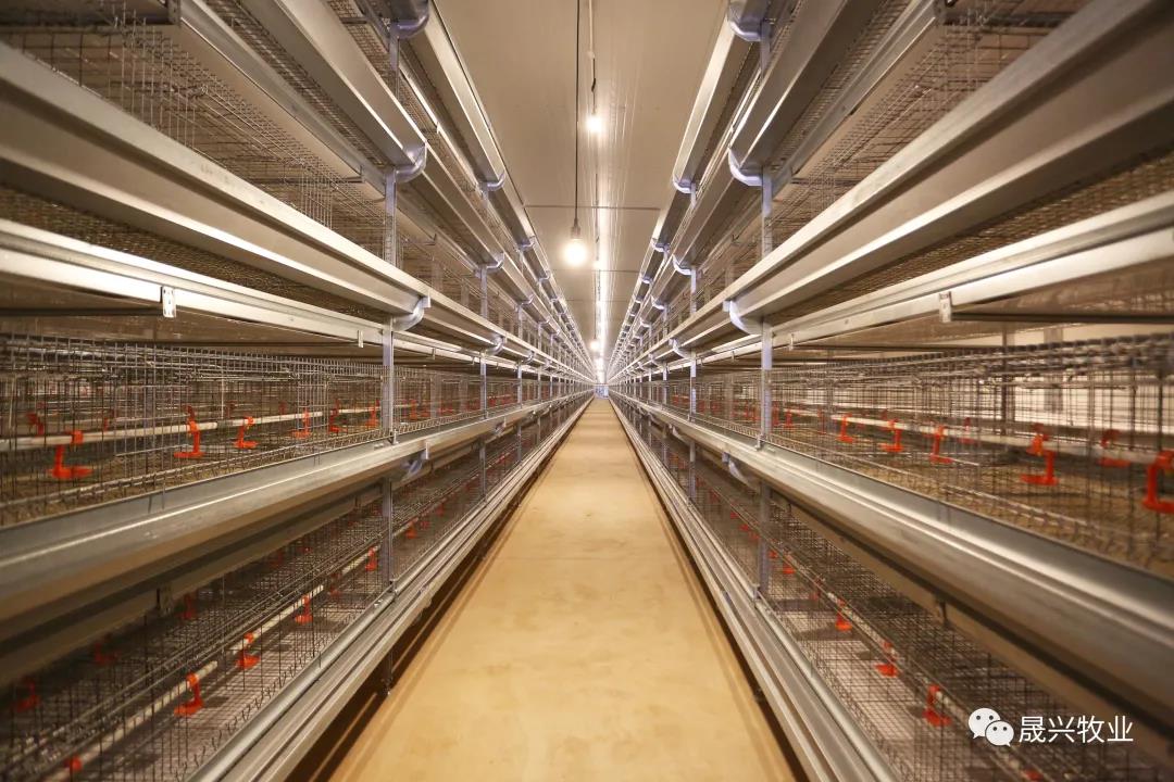 �Ӳ�������(�й���)�ٷ���վ