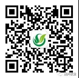 �Ӳ�������(�й���)�ٷ���վ