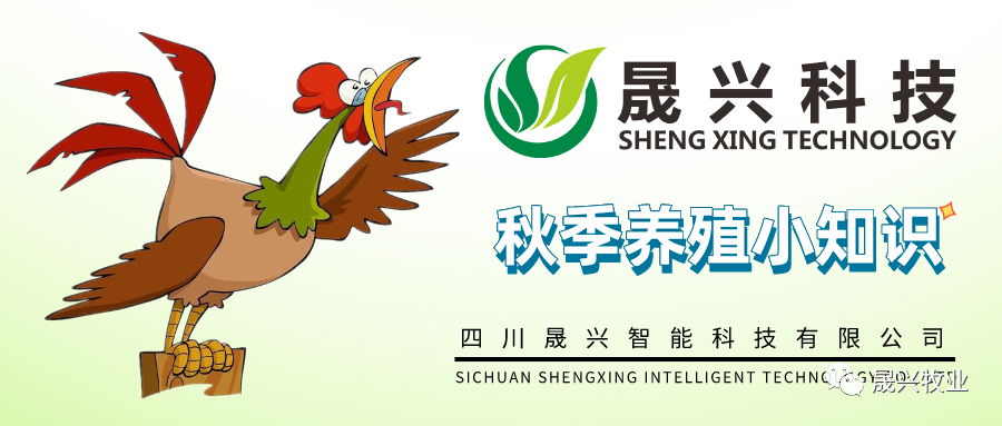 ÐÓ²ÊÌåÓý¡¤(ÖйúÓÎ)¹Ù·½ÍøÕ¾