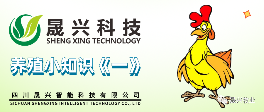 ÐÓ²ÊÌåÓý¡¤(ÖйúÓÎ)¹Ù·½ÍøÕ¾