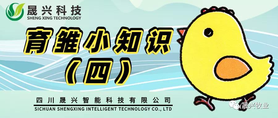 ÐÓ²ÊÌåÓý¼¯ÍÅ ÐÓ²ÊÌåÓý¼¯ÍÅ