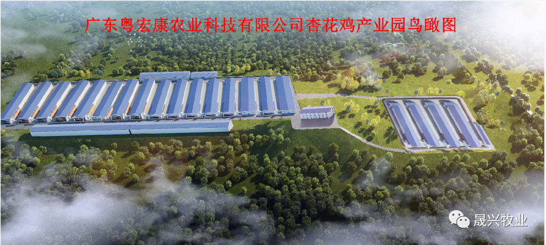 ÐÓ²ÊÌåÓý¼¯ÍÅ ÐÓ²ÊÌåÓý¼¯ÍÅ