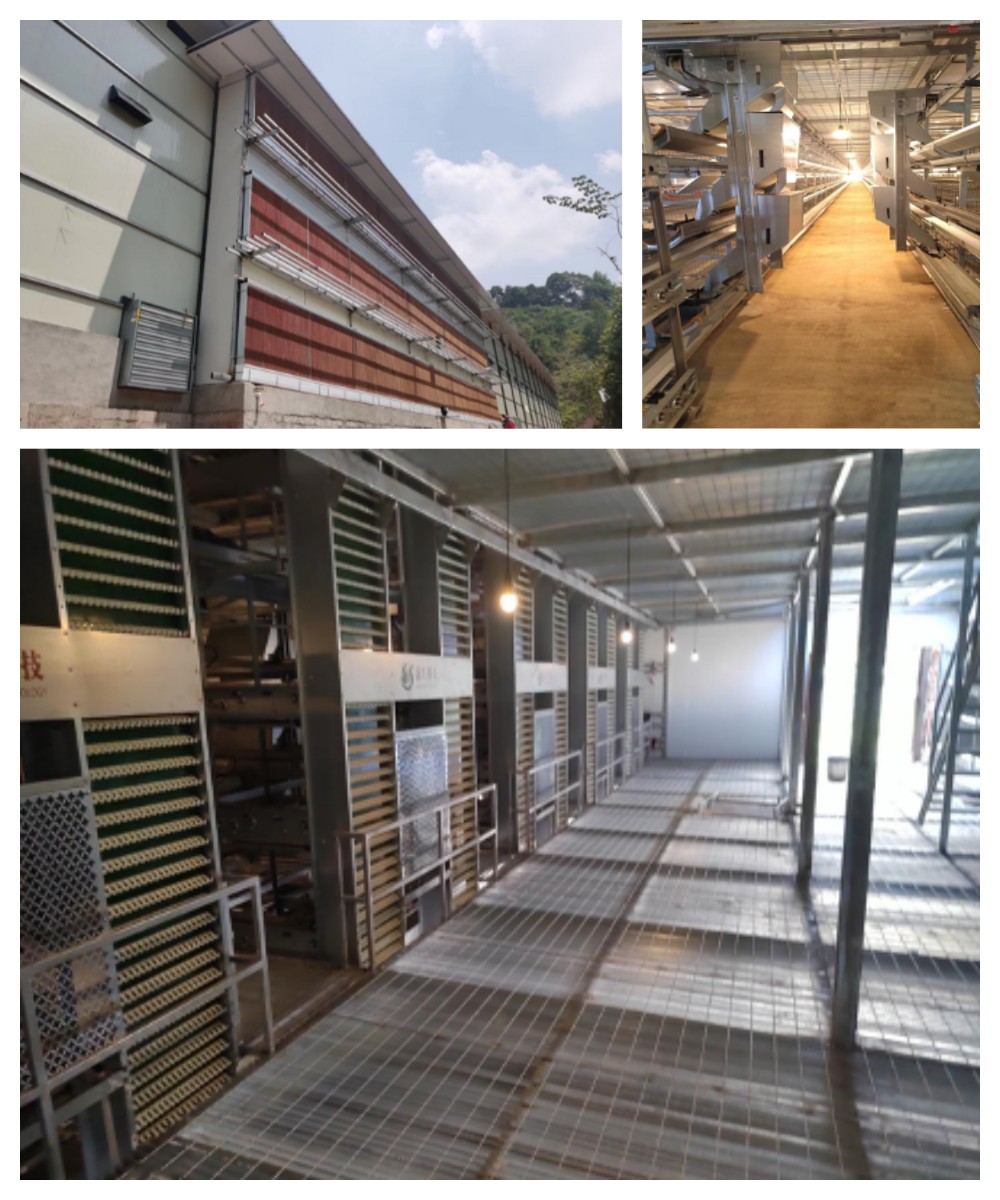 �Ӳ�������(�й���)�ٷ���վ