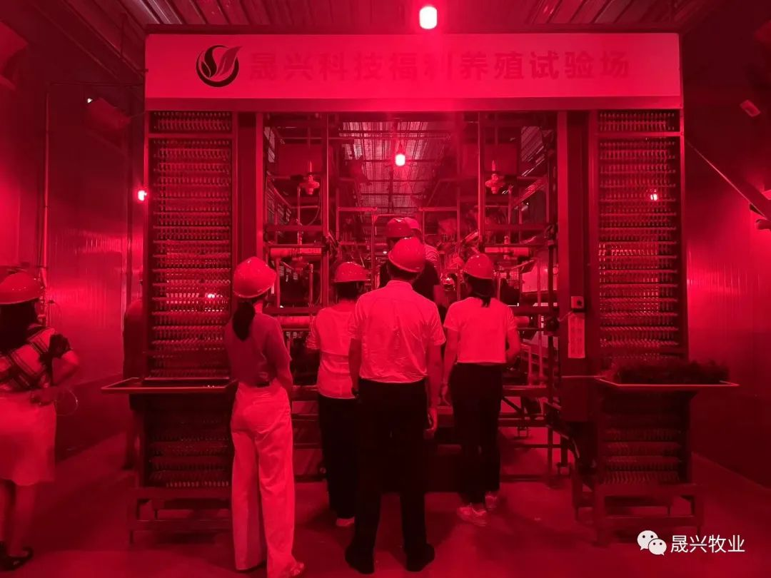 Ñø¼¦×°±¸ Ñø¼¦×°±¸