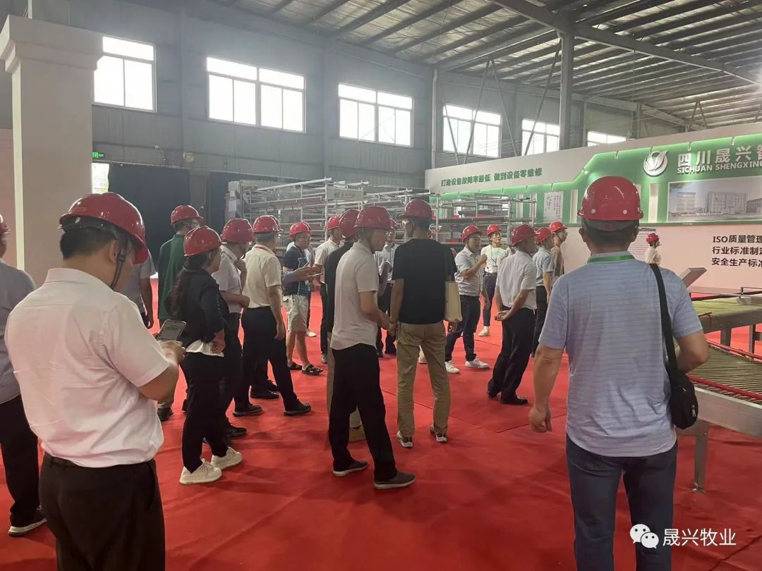 Ñø¼¦×°±¸ Ñø¼¦×°±¸