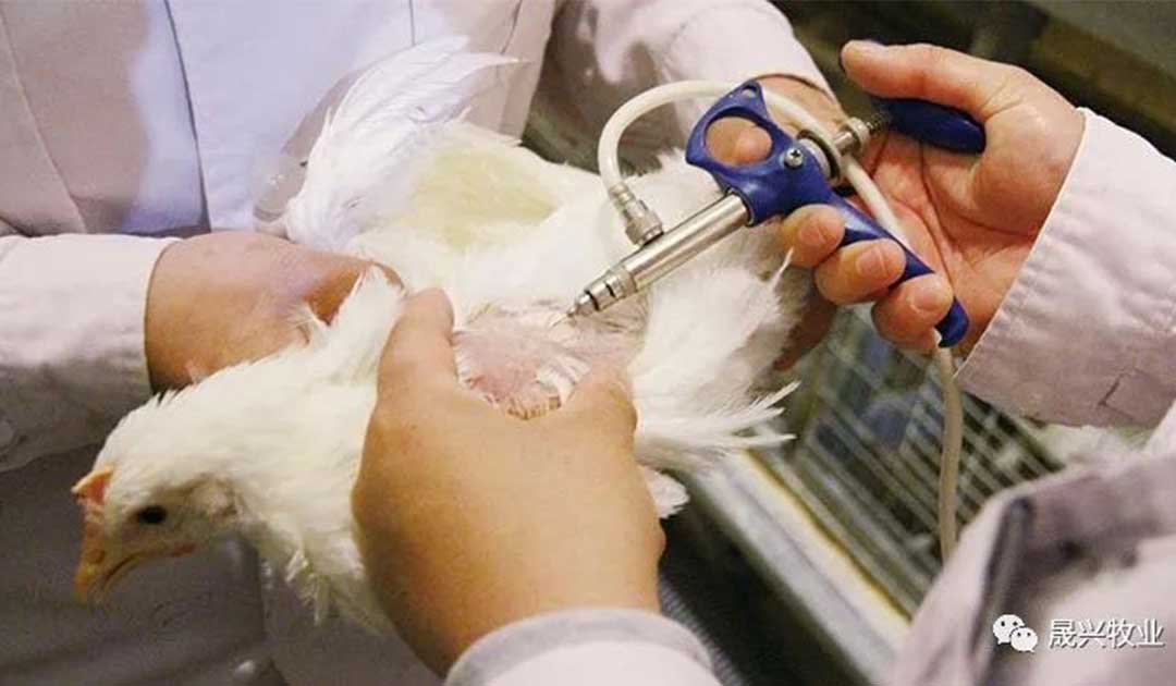 Ñø¼¦×°±¸ Ñø¼¦×°±¸