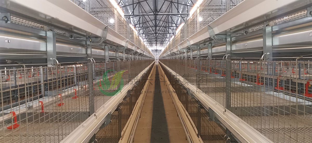 �⼦��ֳװ��