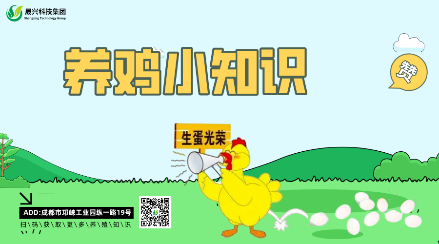 ����װ��