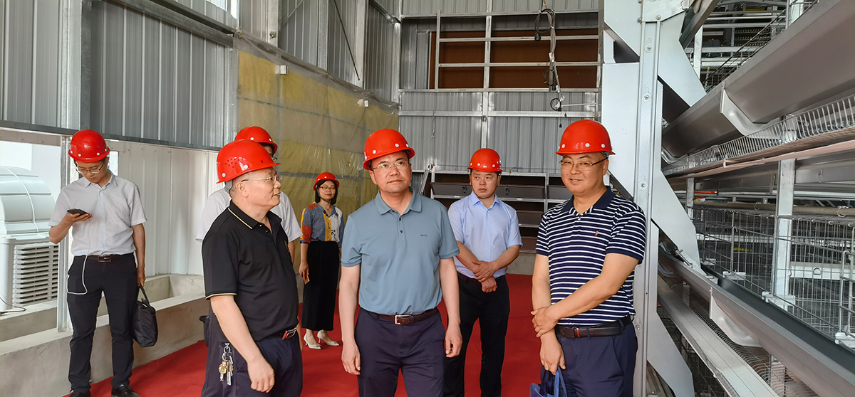 Ñø¼¦×°±¸ Ñø¼¦×°±¸