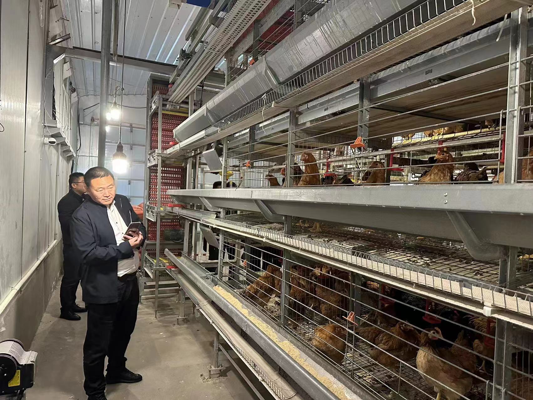 Ñø¼¦×°±¸ Ñø¼¦×°±¸