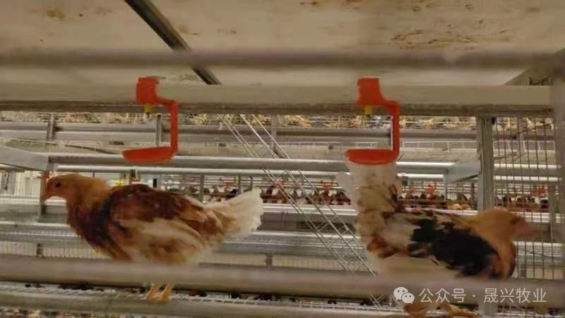 �Ӳ�������(�й���)�ٷ���վ