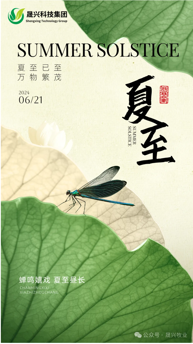 �Ӳ�������(�й���)�ٷ���վ