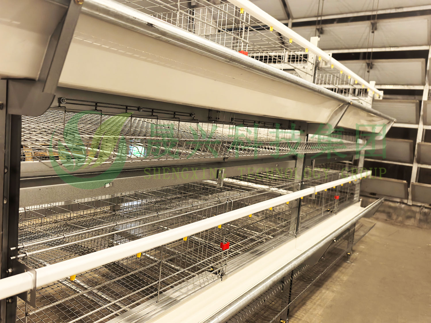 ����Ѽװ��