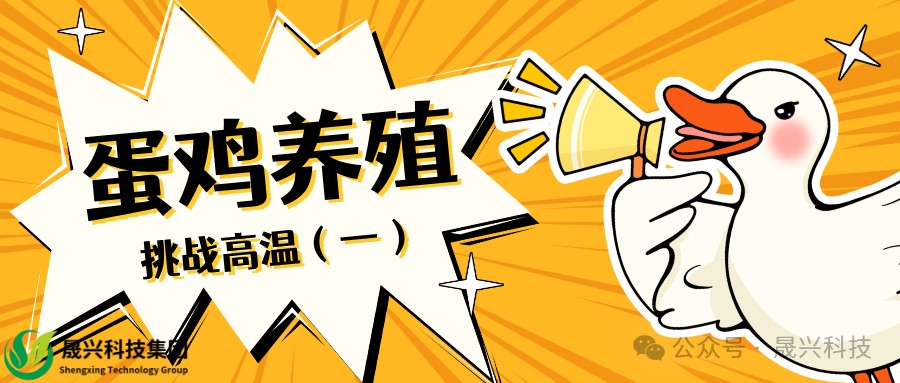 �Ӳ�������(�й���)�ٷ���վ