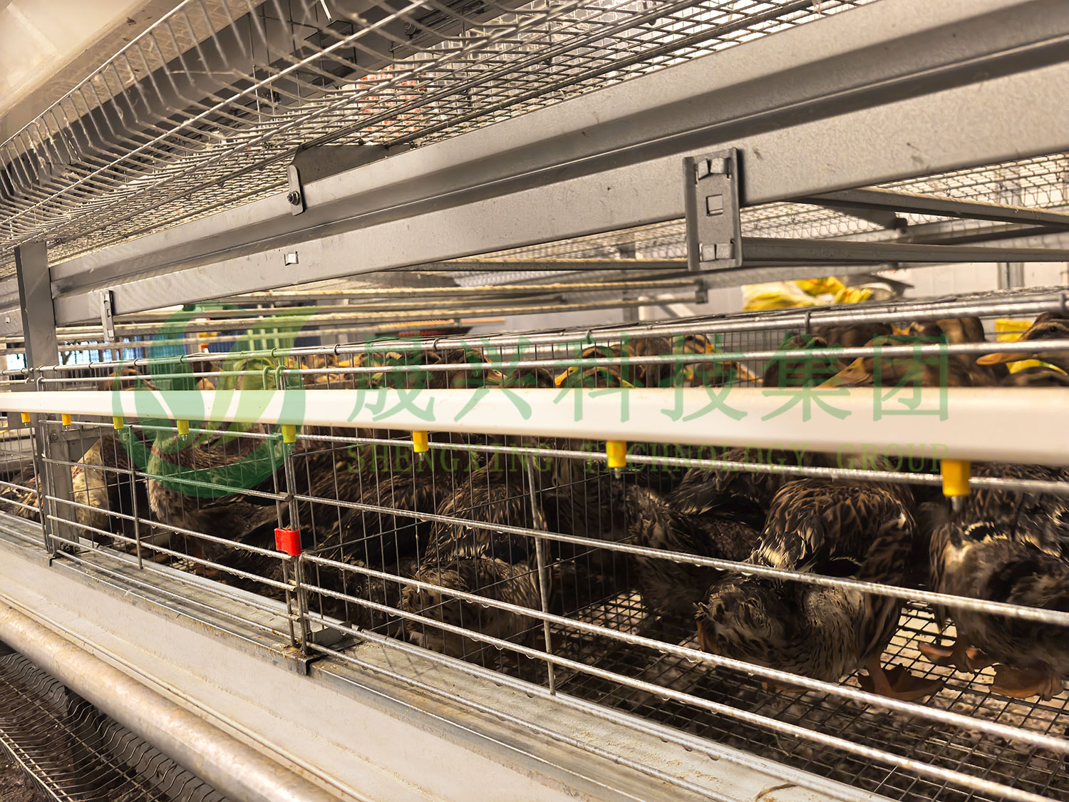 ����Ѽװ��