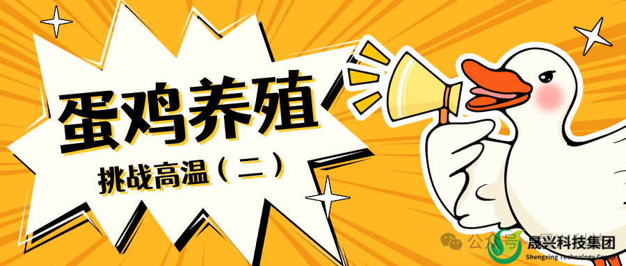 �Ӳ�������(�й���)�ٷ���վ