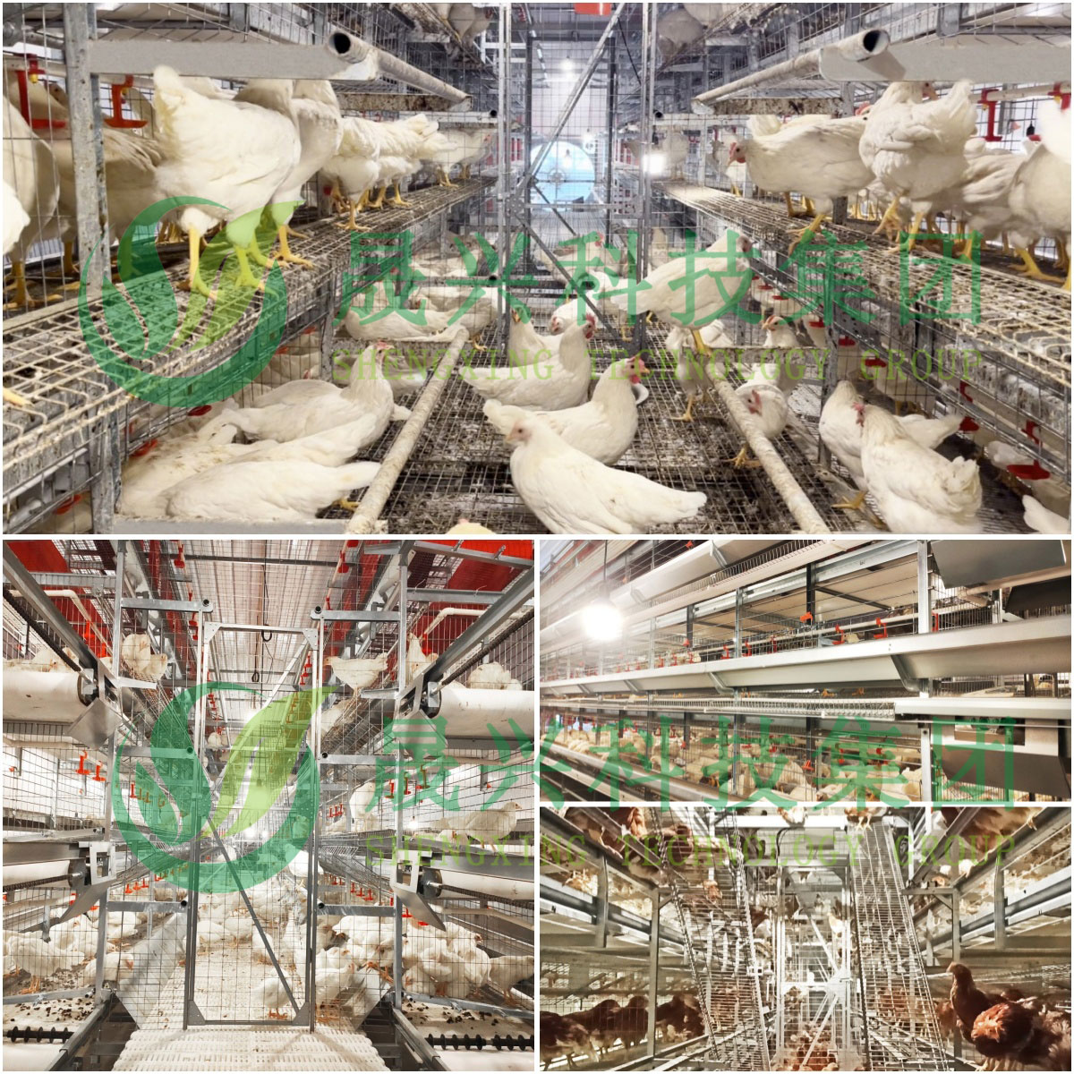 �Ӳ�������(�й���)�ٷ���վ