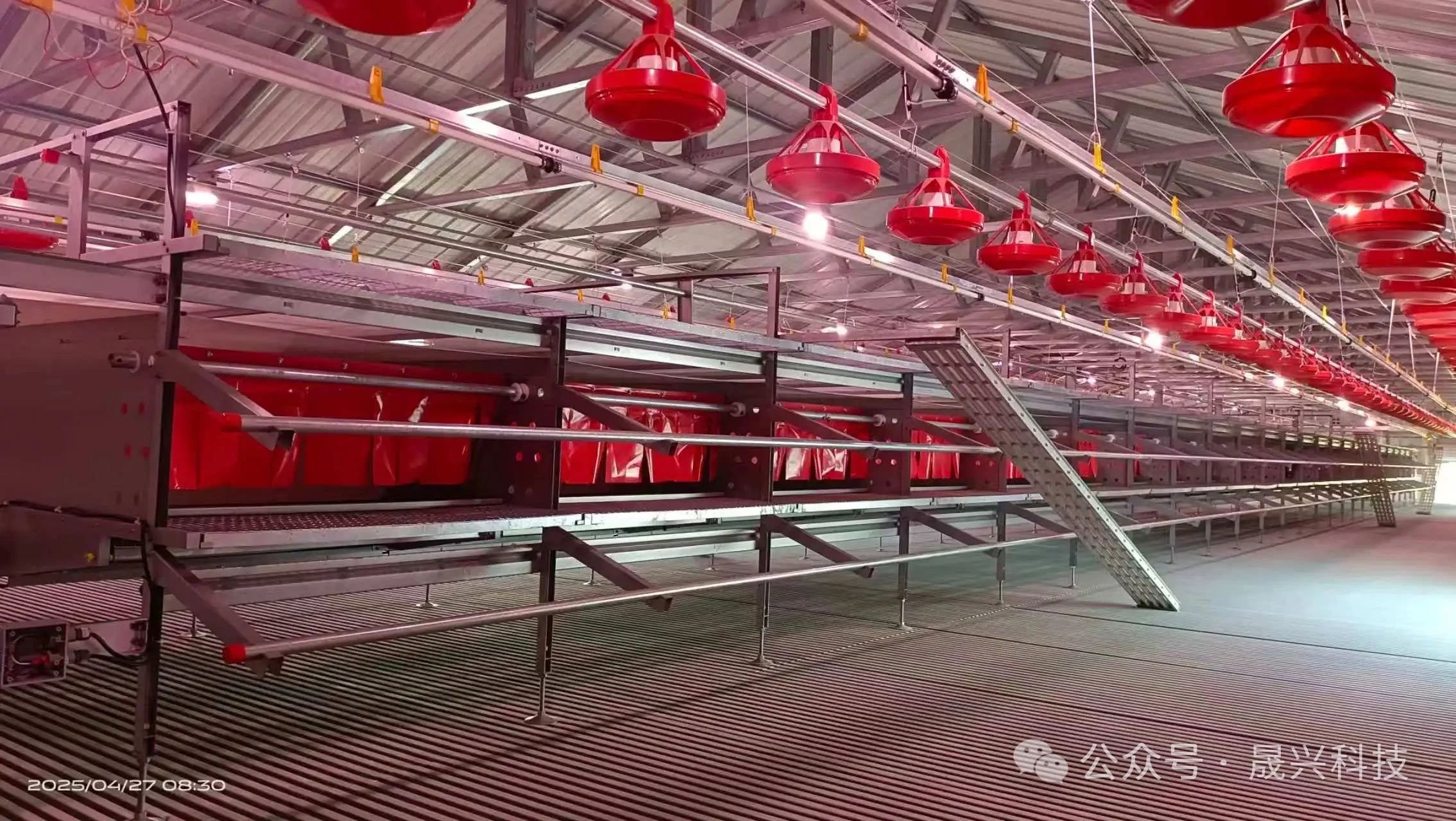 Ñø¼¦×°±¸ Ñø¼¦×°±¸