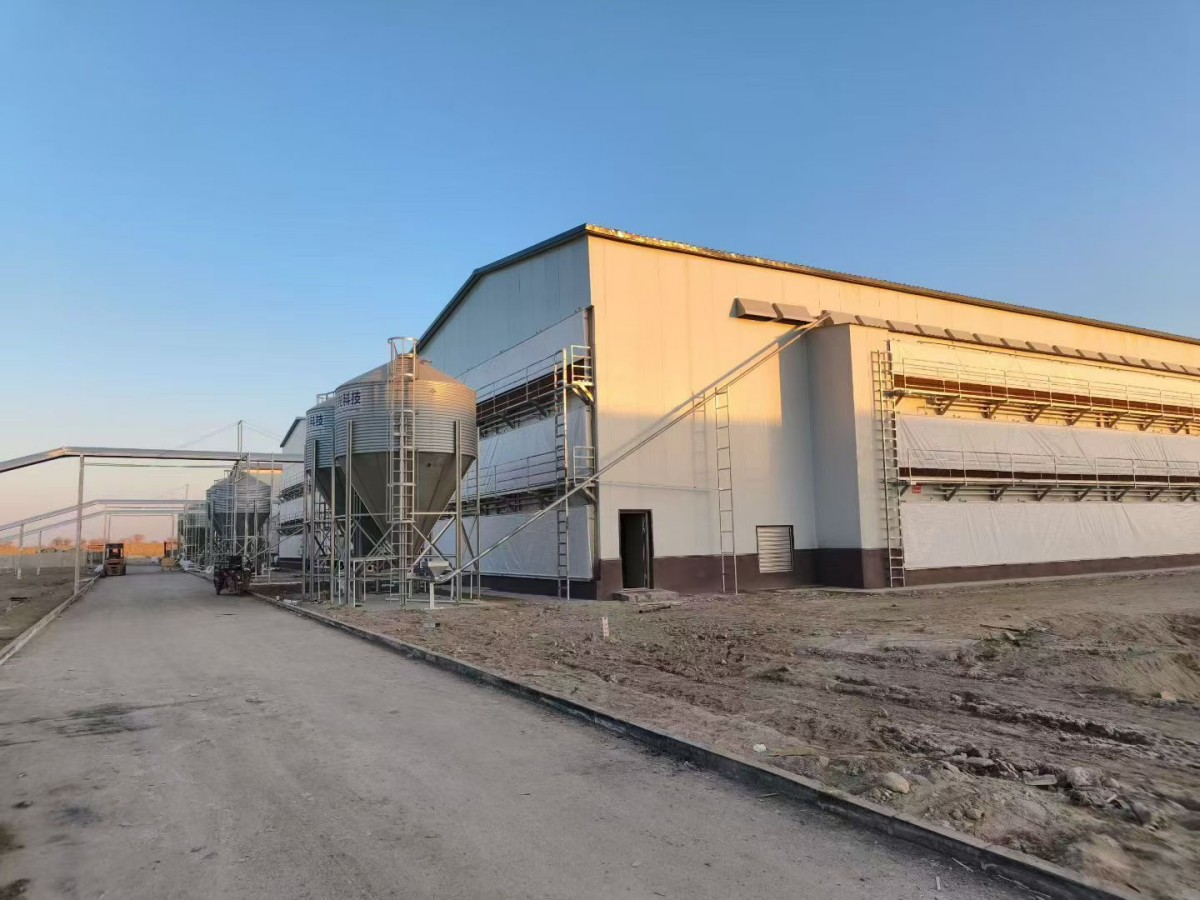 Ñø¼¦×°±¸ Ñø¼¦×°±¸