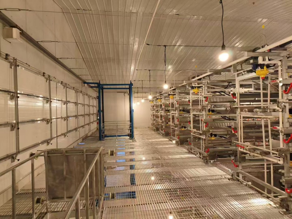 Ñø¼¦×°±¸ Ñø¼¦×°±¸