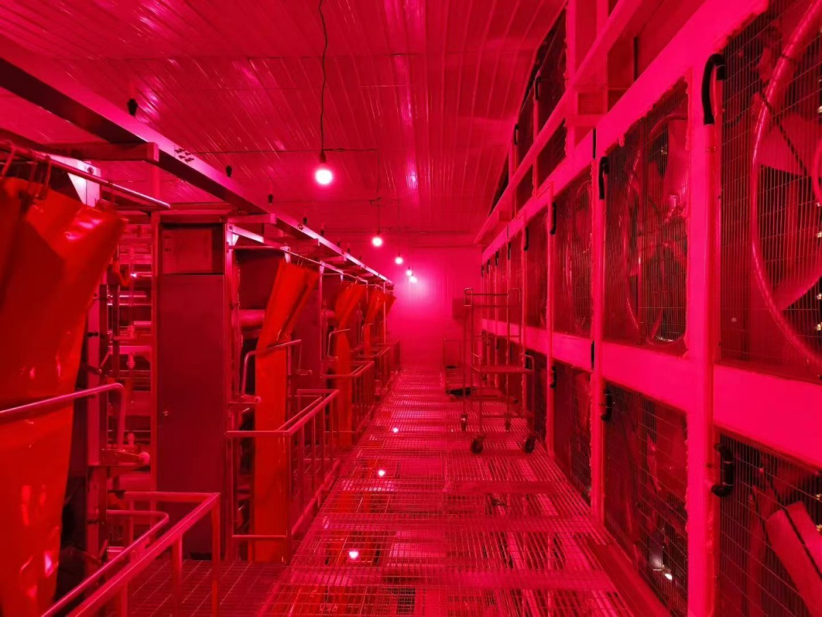 Ñø¼¦×°±¸ Ñø¼¦×°±¸